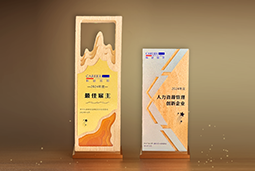 太阳成tyc234cctyc国际一举斩获“2024年度中国区最佳雇主”等多项大奖